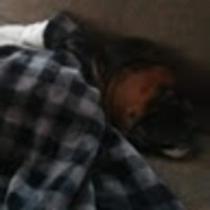 Meet your Posher, Brad